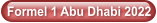 Formel 1 Abu Dhabi 2022