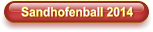 Sandhofenball 2014