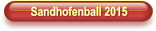 Sandhofenball 2015