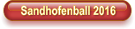 Sandhofenball 2016