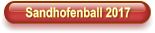 Sandhofenball 2017