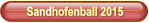 Sandhofenball 2015