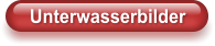 Unterwasserbilder