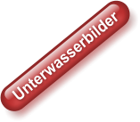 Unterwasserbilder