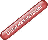 Unterwasserbilder