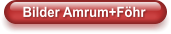 Bilder Amrum+Föhr